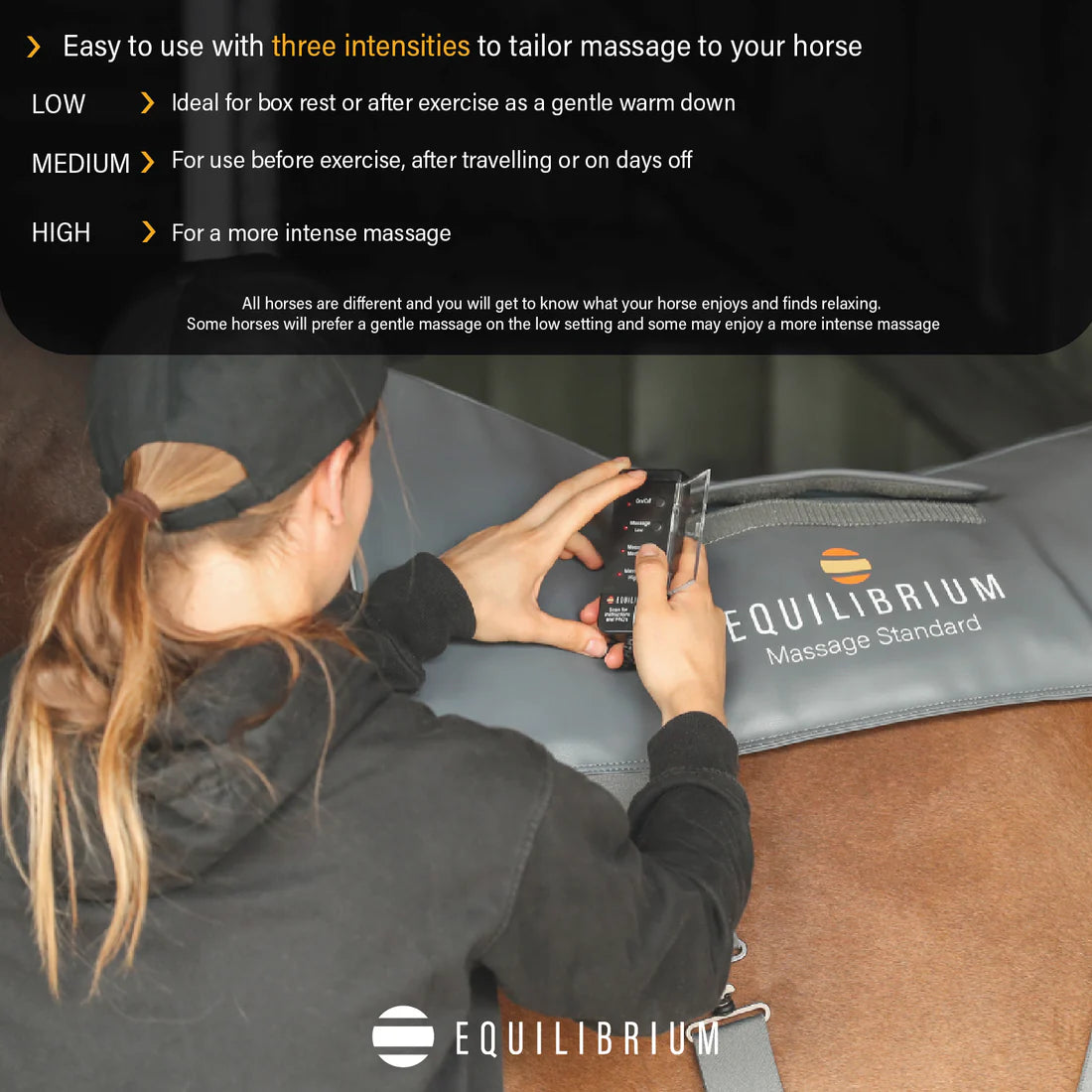 Equilibrium Massage Pad