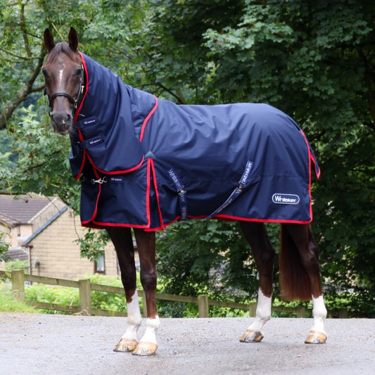 Whitaker Rastrick V2 250g Turnout Rug