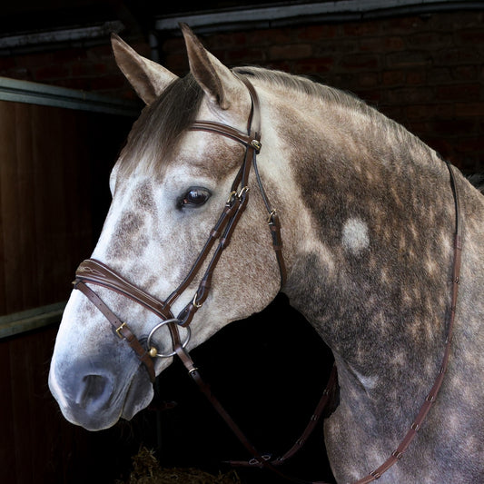 Whitaker Venice Bridle C/w Reins Havana