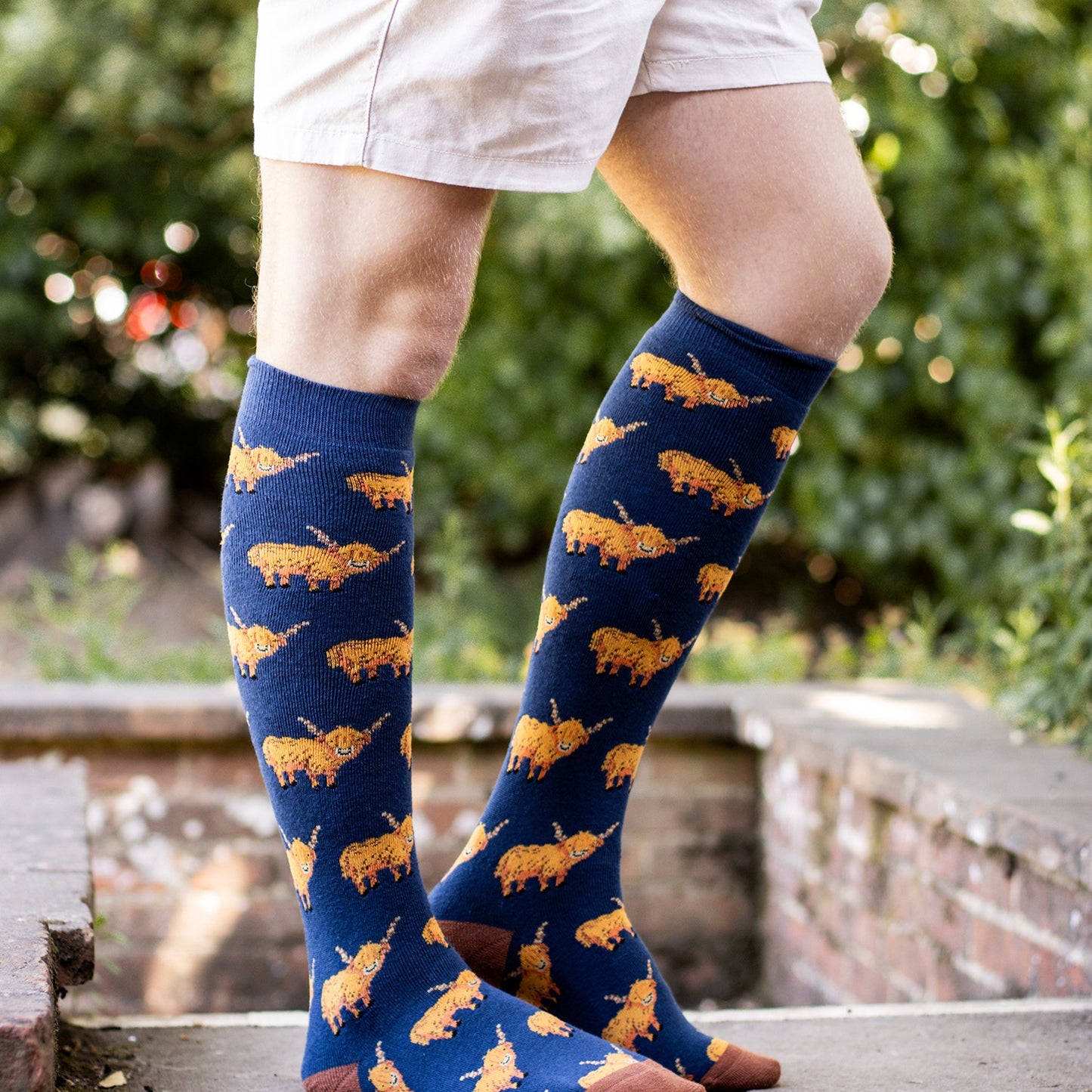 Bartleby Funky Welly Socks Mens Hardy Highland