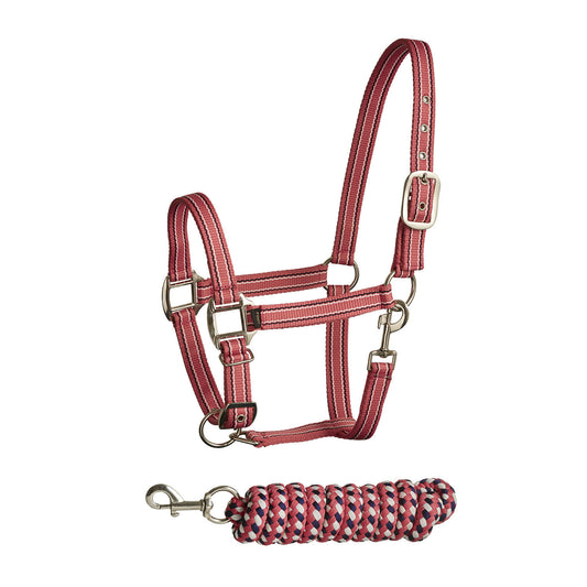 Bitz Stripe Two Tone Headcollar/Lead Rope Pink/Navy