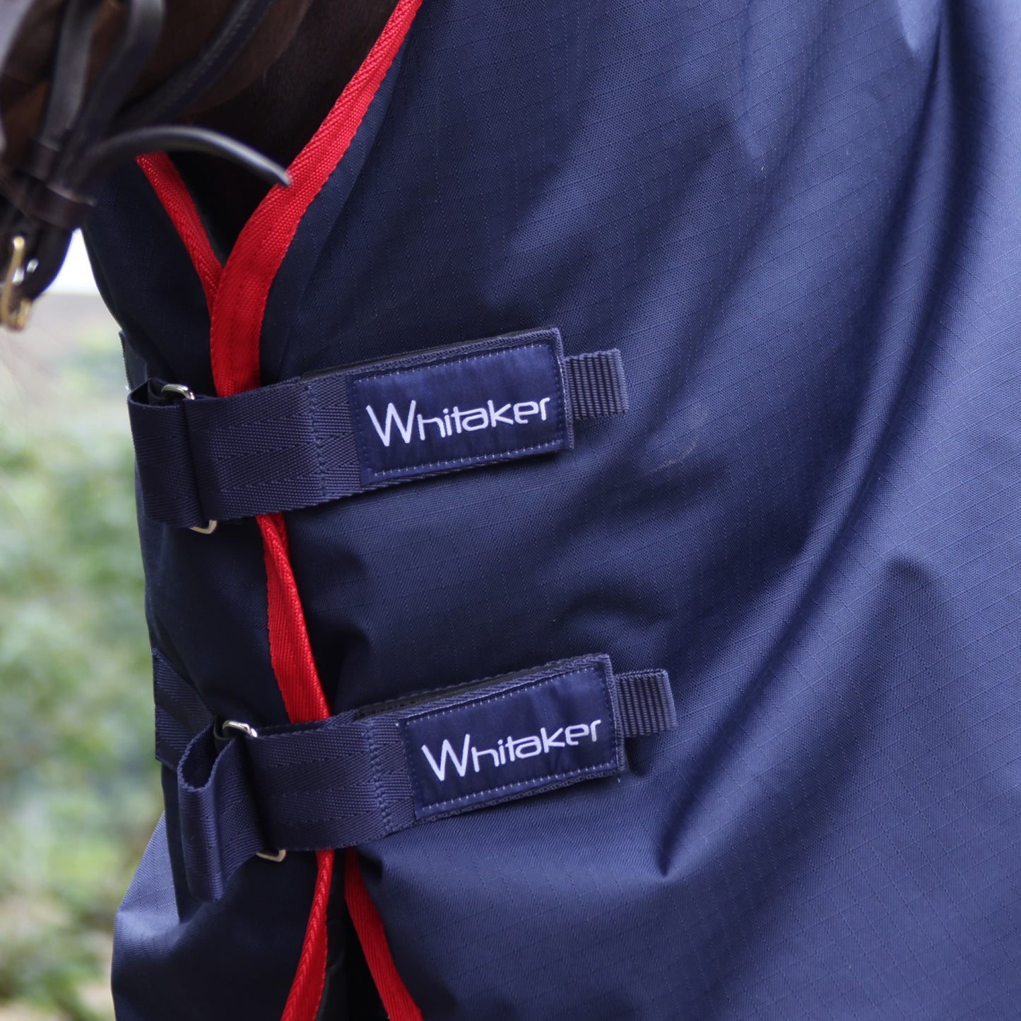 Whitaker Rastrick V2 250g Turnout Rug