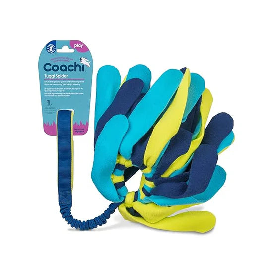 Coachi Tuggi Spider