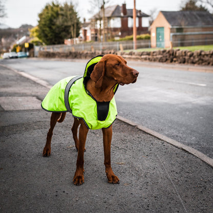 Danish Design Ultimate 2-in-1 Dog Coat Hi Vis Yellow