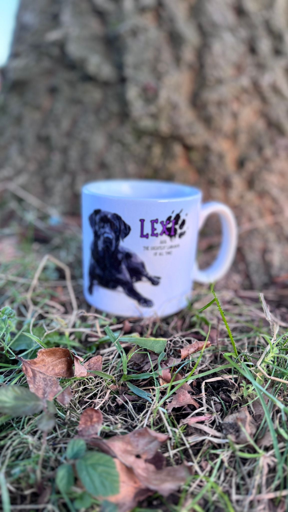 *Personalised* "Dog Dad/Mum" Dunkin' Mug