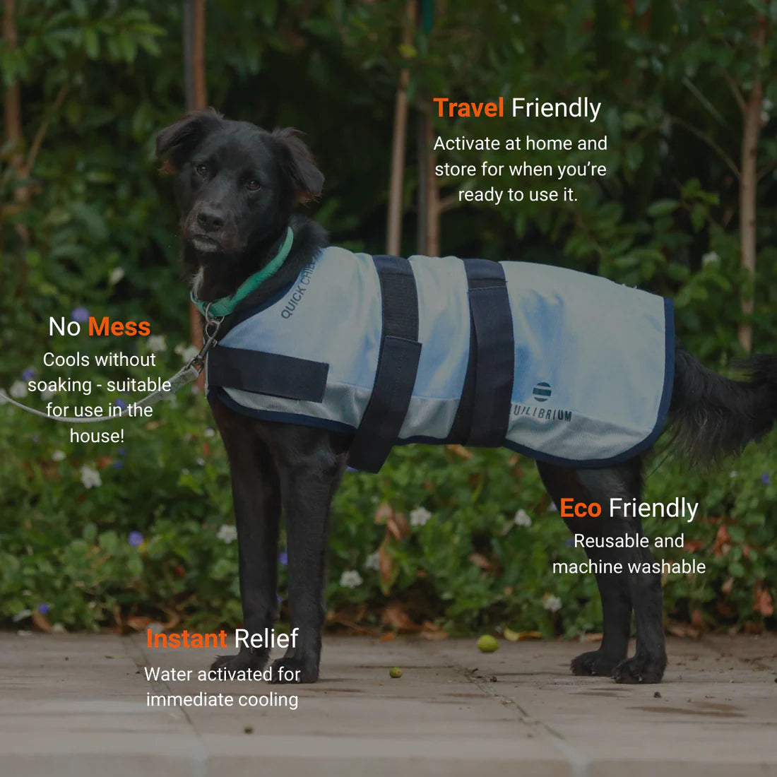Equilibrium Quick Chill Dog Coat