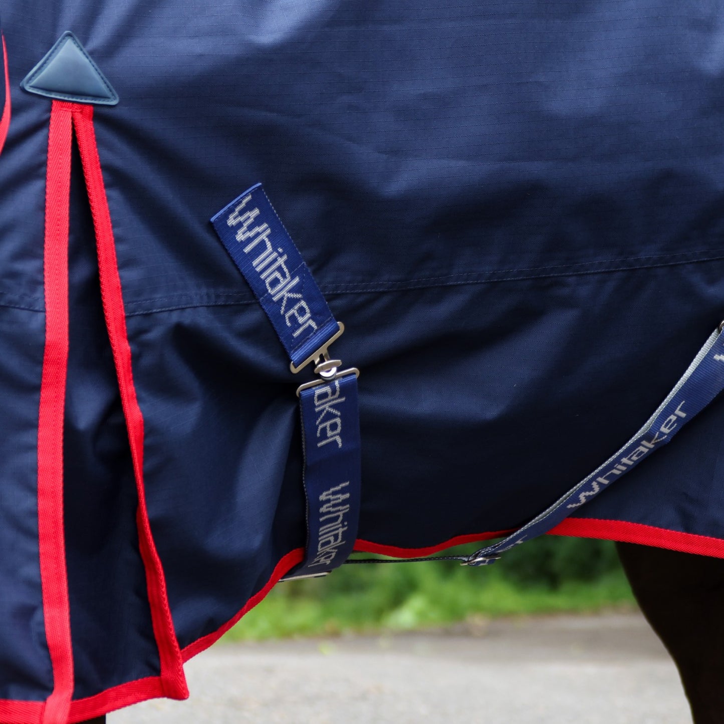 Whitaker Rastrick V2 250g Turnout Rug