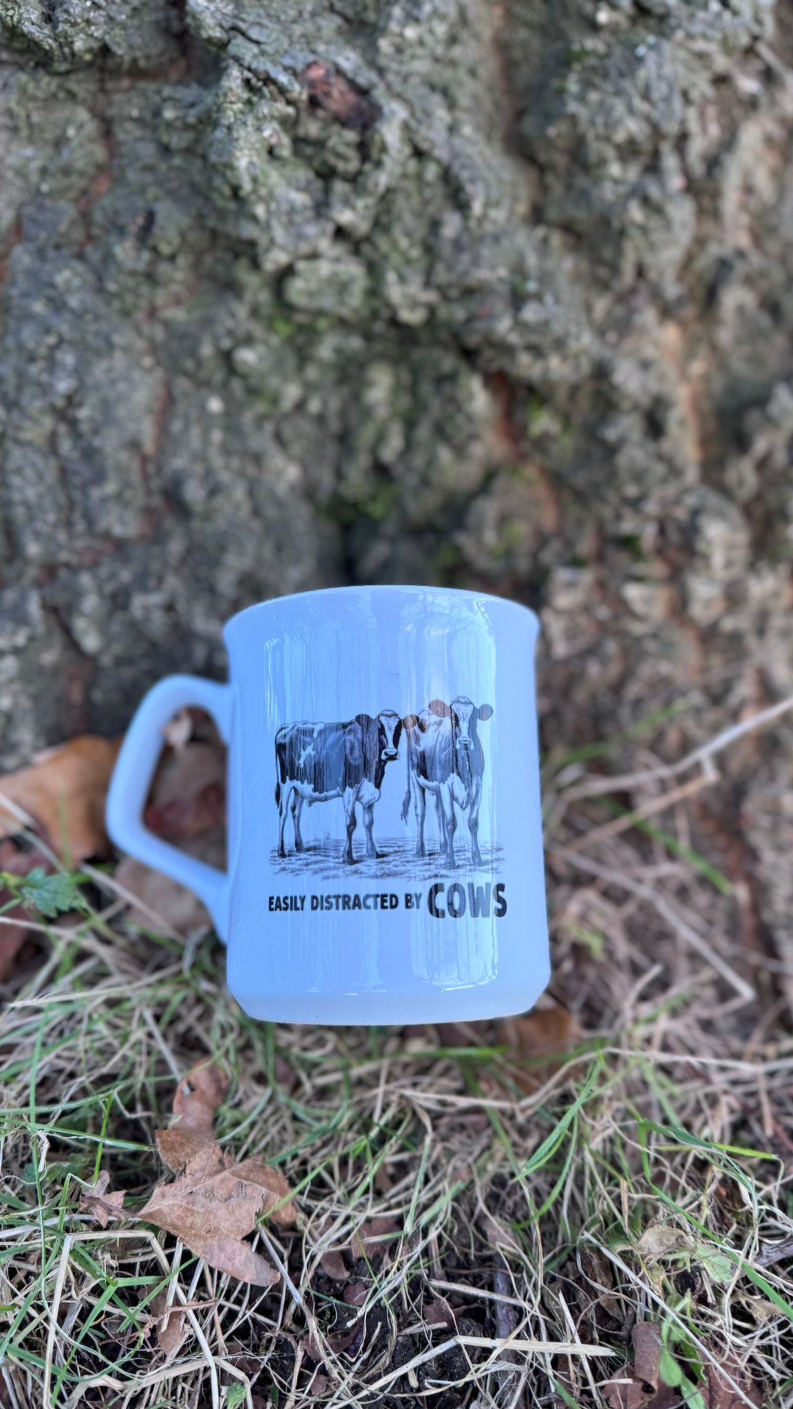 Classic Collection - Easily Distracted By Cows Mug