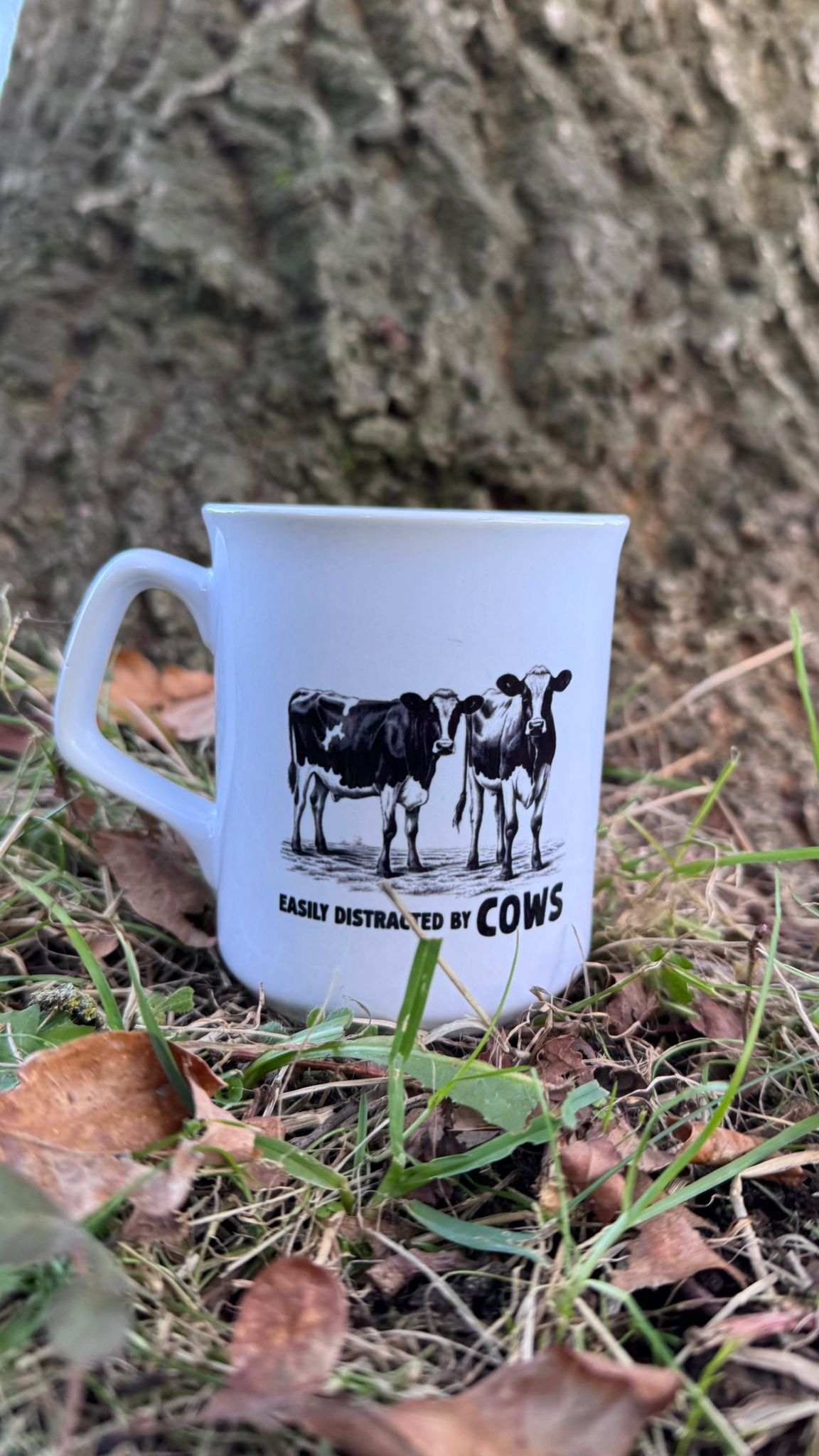 Classic Collection - Easily Distracted By Cows Mug