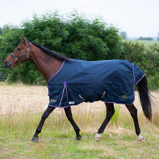 Gallop Trojan Duraproof 5-point Std Lightweight Turnout Navy
