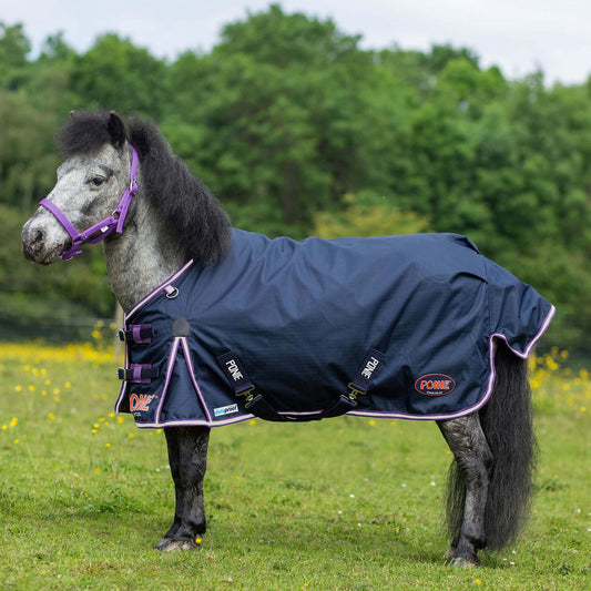 Gallop Ponie Duraproof 5-point Std Lightweight Turnout Navy