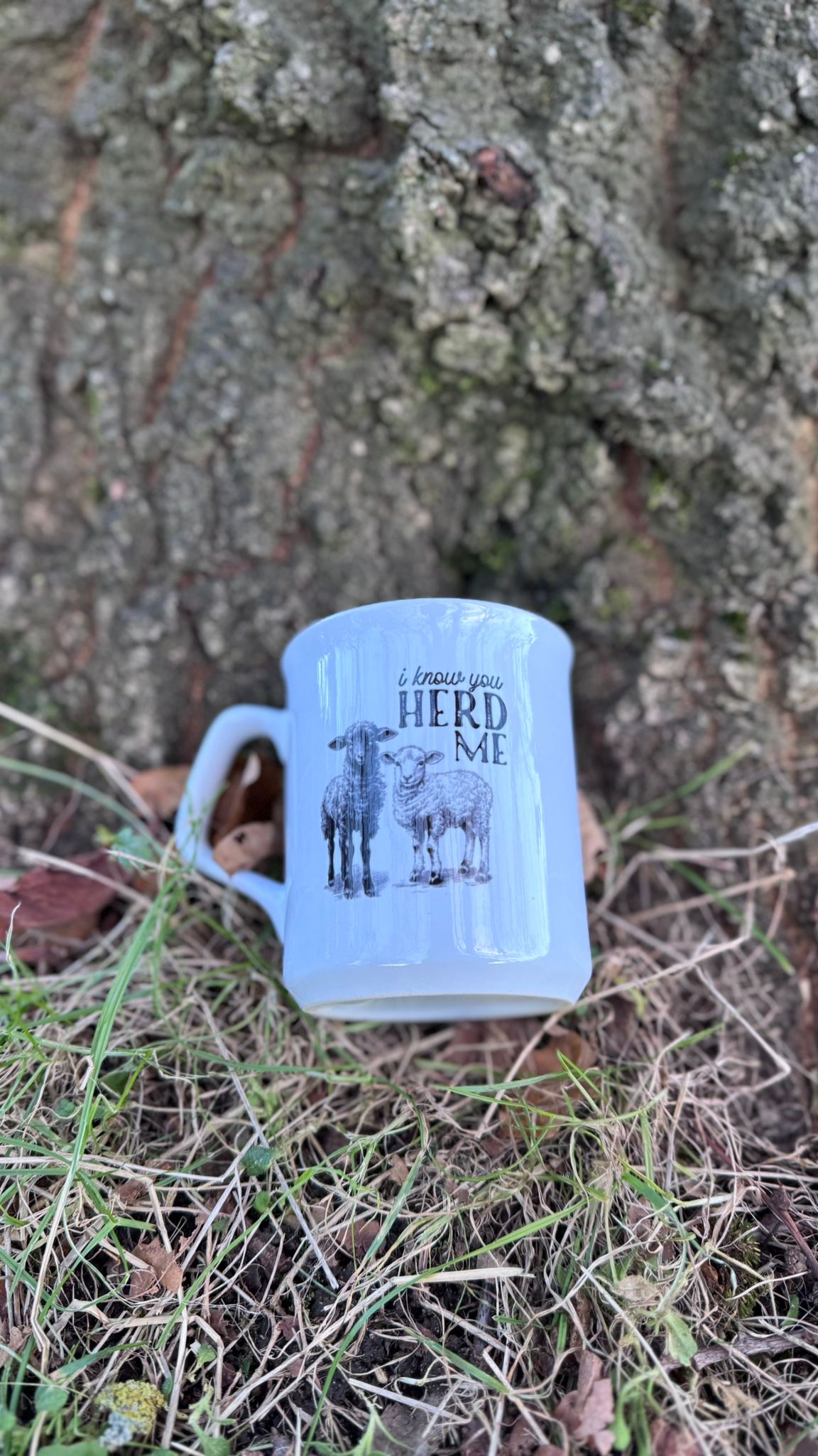 Classic Collection - I Know You Herd Me Mug