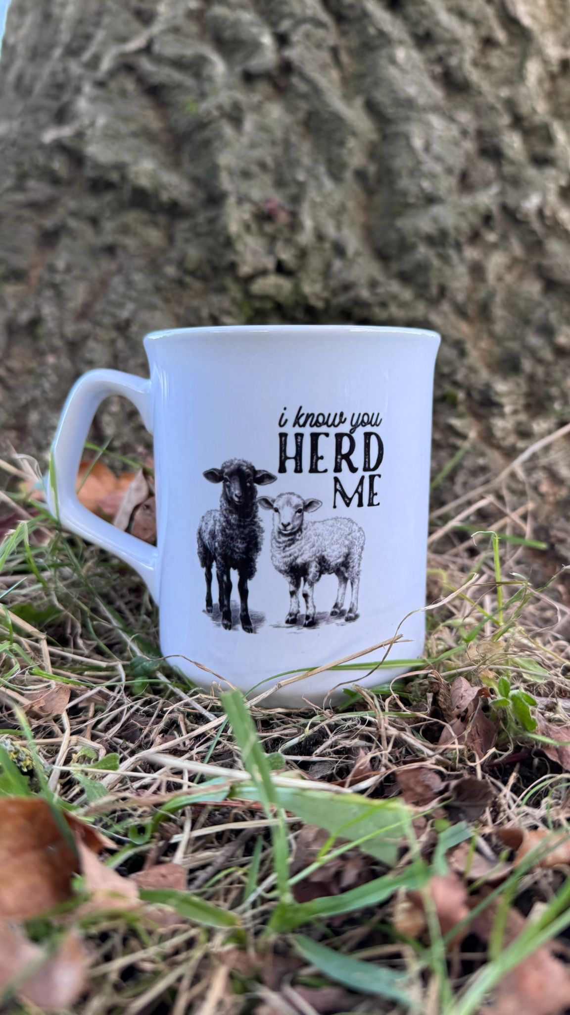 Classic Collection - I Know You Herd Me Mug