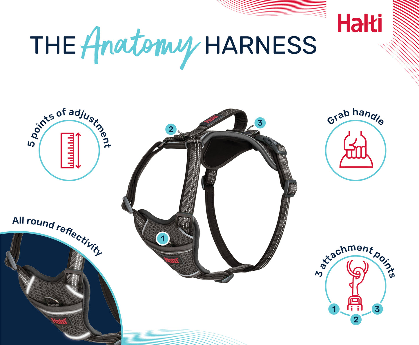 Halti Anatomy Harness - Magenta