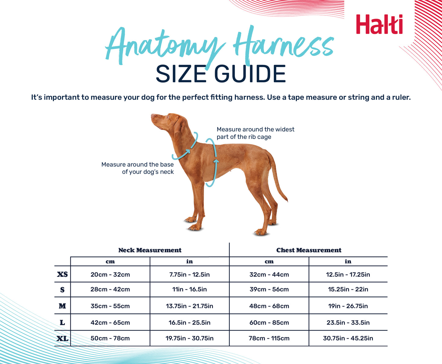 Halti Anatomy Harness - Magenta