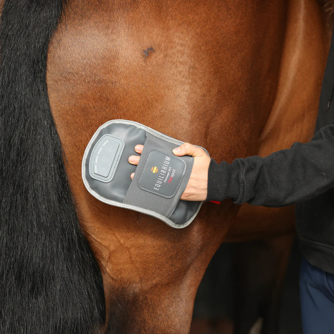 Equilibrium Massage Mitt Hotspot