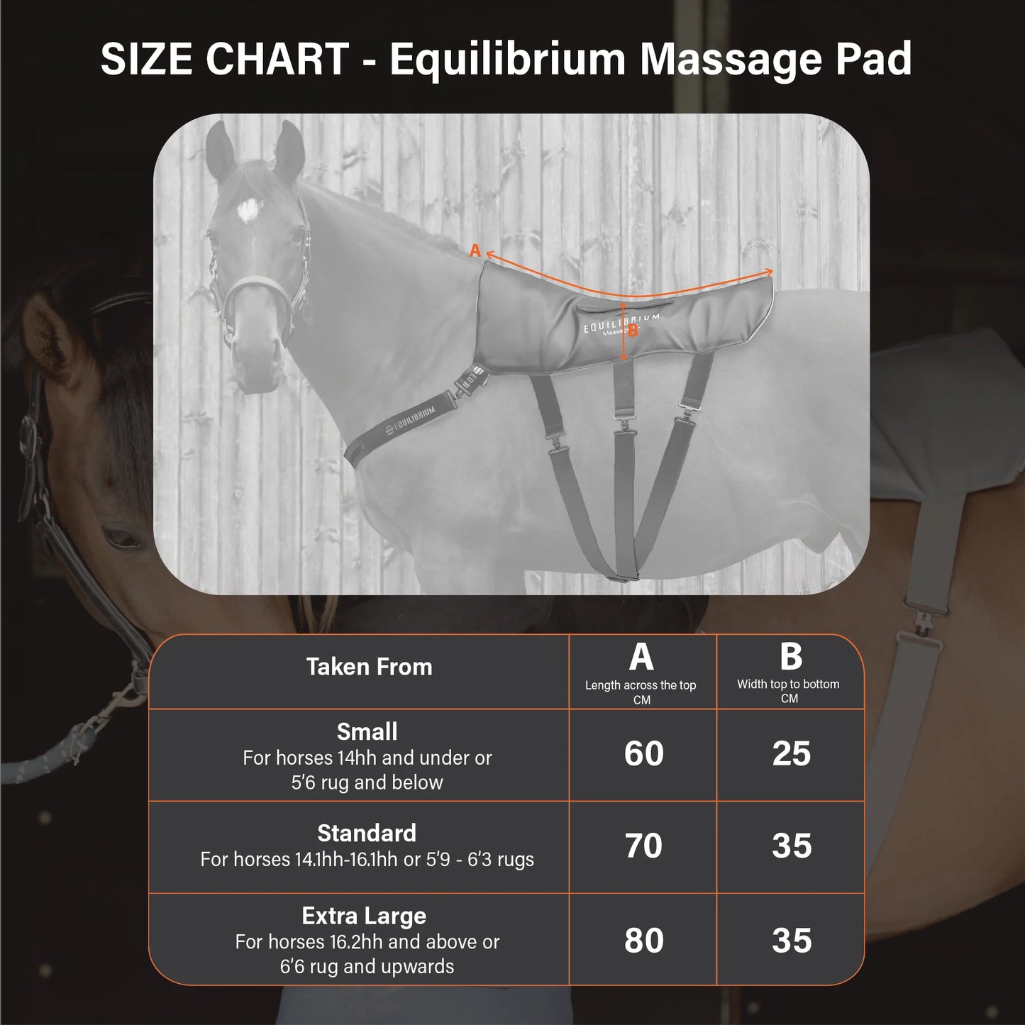 Equilibrium Massage Pad