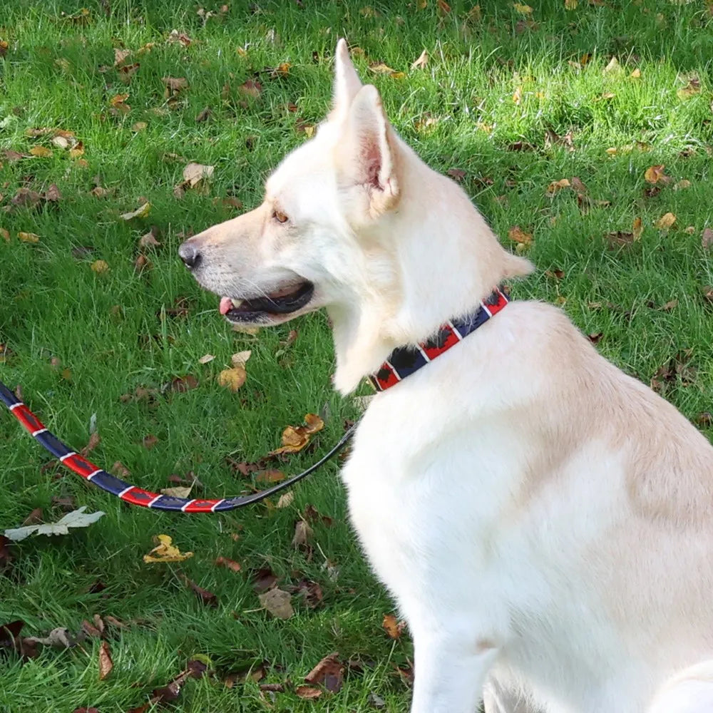 Benji & Flo Sublime Polo Leather Dog Collar