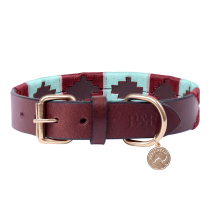 Benji & Flo Sublime Polo Leather Dog Collar