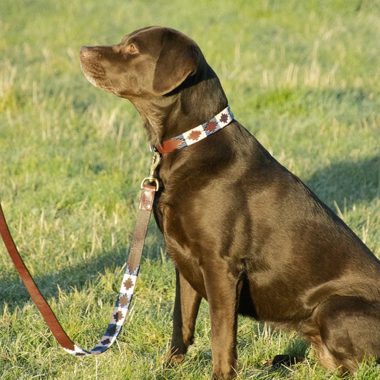 Benji & Flo Sublime Polo Leather Dog Lead