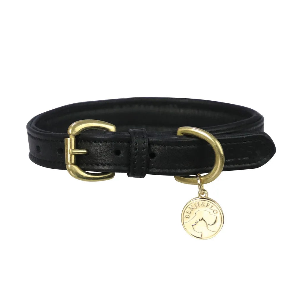 Benji & Flo Deluxe Padded Leather Dog Collar