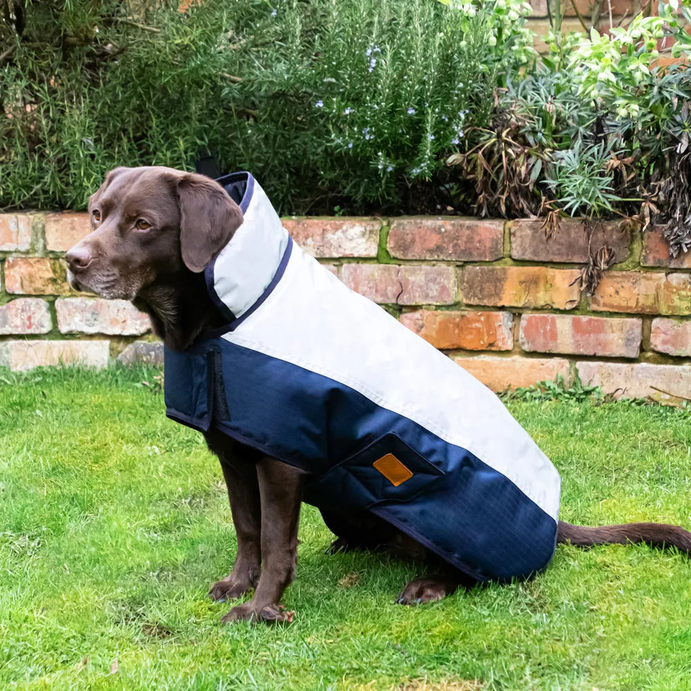 Benji & Flo Waterproof Reflective Dog Coat