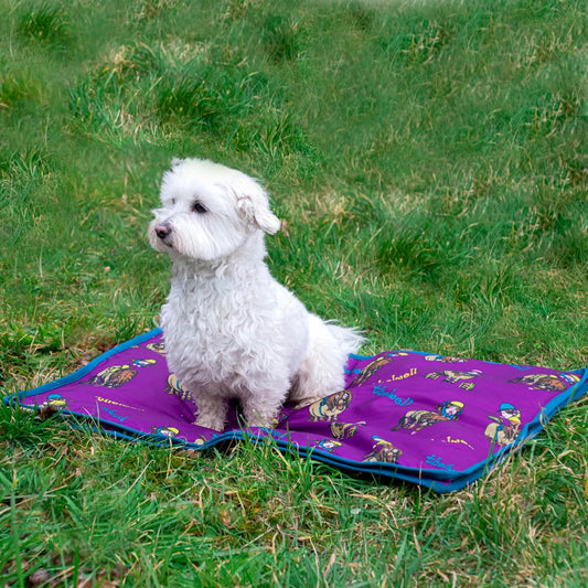 Benji & Flo Thelwell Collection Pony Friends Dog Bed