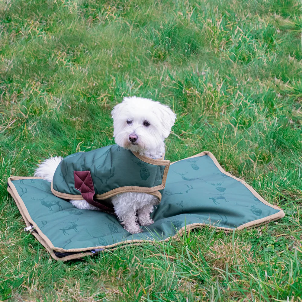 Benji & Flo Divine Deer Dog Bed