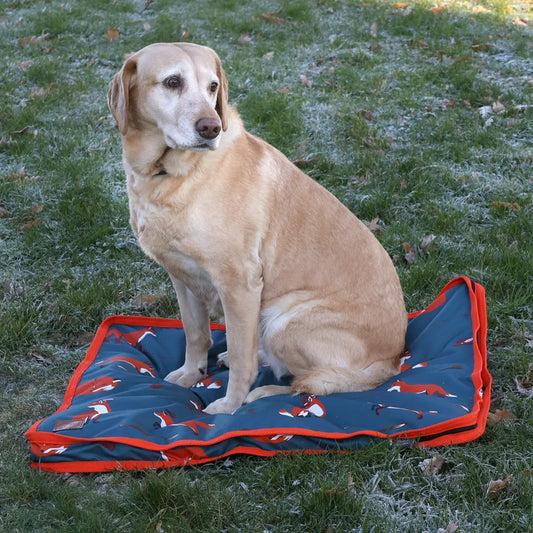 Benji & Flo Frivolous Fox Dog Bed