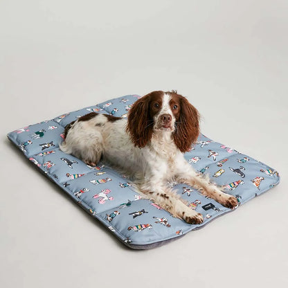 Joules Rainbow Dogs Travel Mat