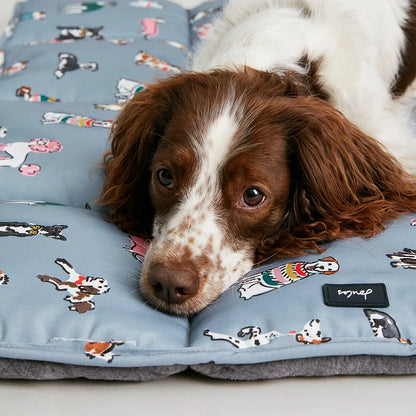 Joules Rainbow Dogs Travel Mat