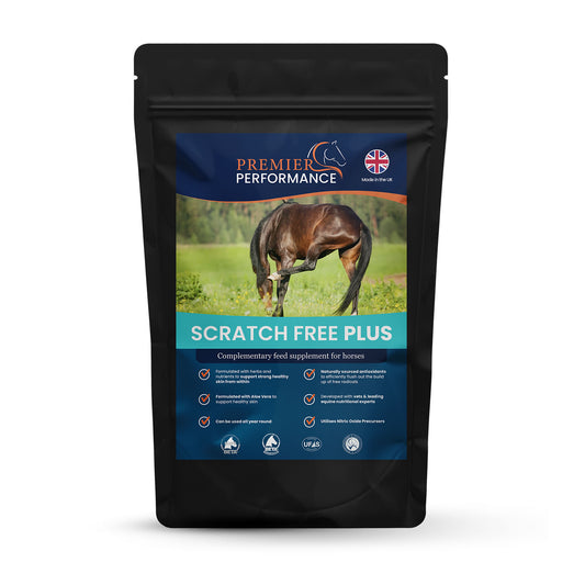 Premier Performance Scratch Free Plus