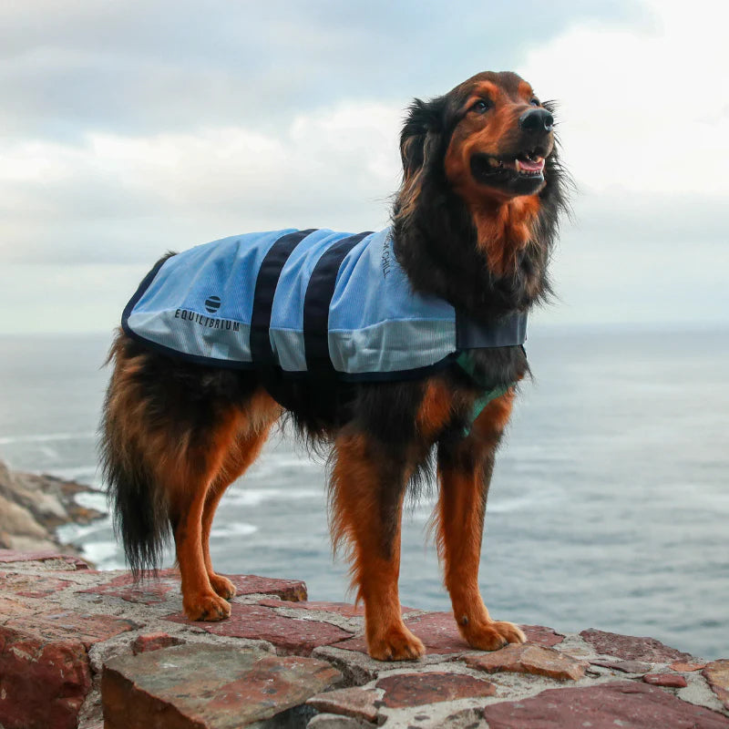 Equilibrium Quick Chill Dog Coat