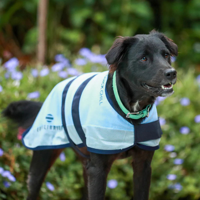Equilibrium Quick Chill Dog Coat