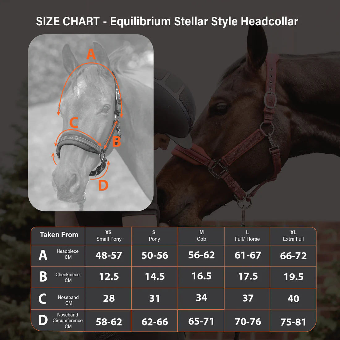 Equilibrium Stellar Style Headcollar - Black