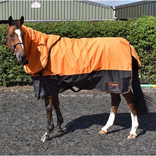 Whitaker Lutton Turnout Rug Combo 170g - Orange