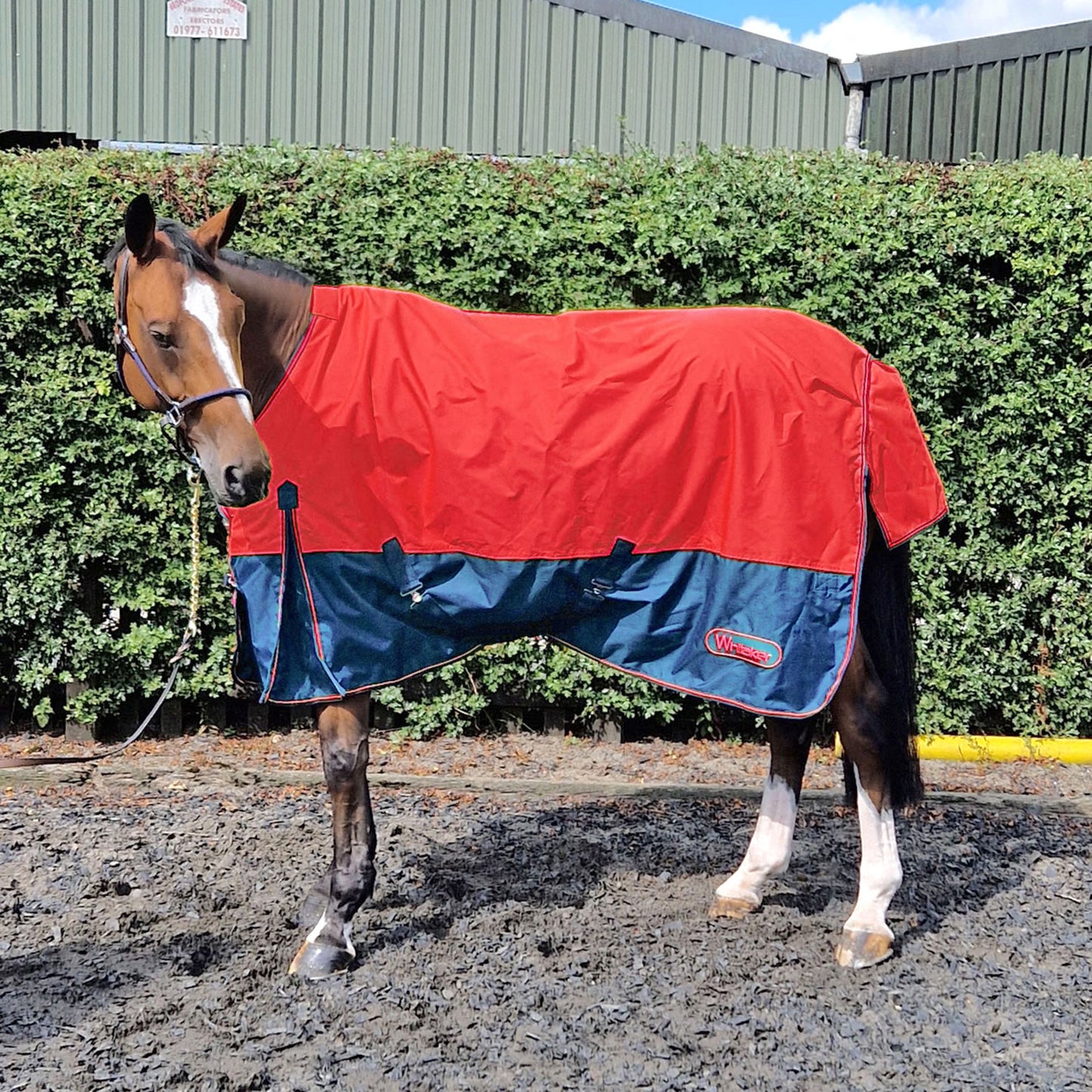 Whitaker Rudston Turnout Rug 50g - Red