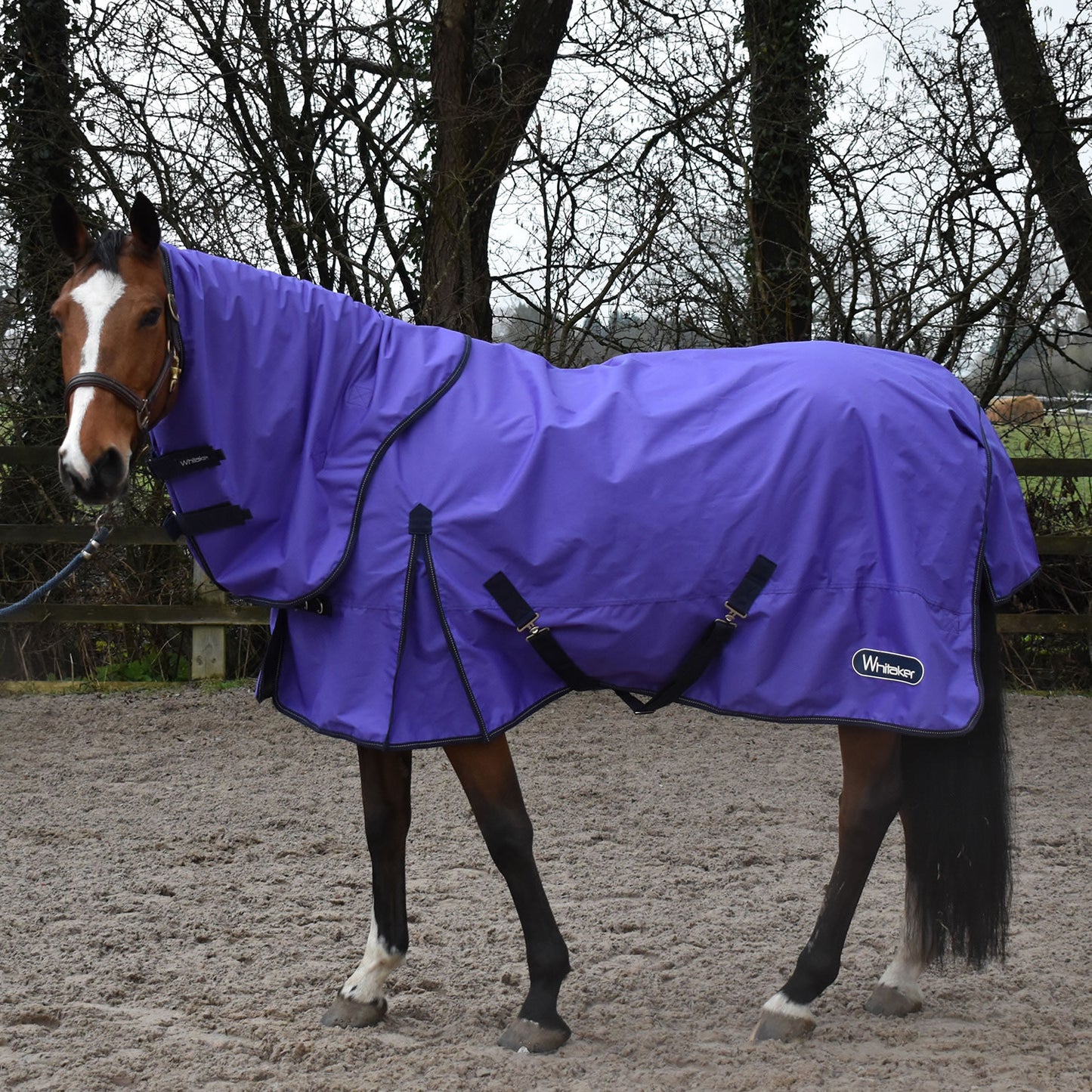 Whitaker Rastrick Turnout Rug Fixed Neck 0g - Purple