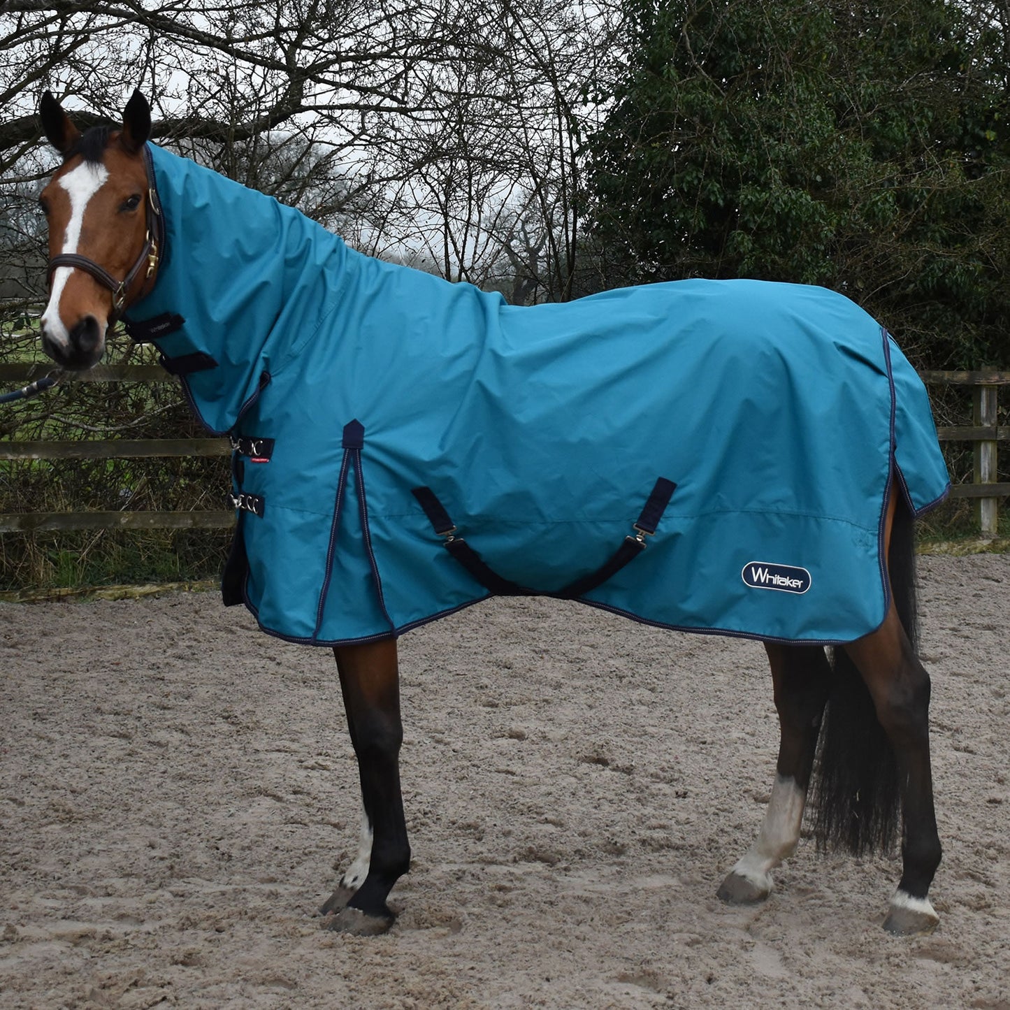 Whitaker Rastrick Turnout Rug Fixed Neck 0g - Turquoise