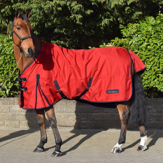 Whitaker Rastrick 0g Lightweight Turnout Rug - Red