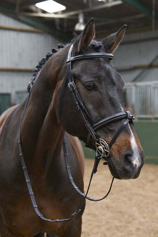 Whitaker Eastwood Raised Flash Bridle C/w Reins - Black