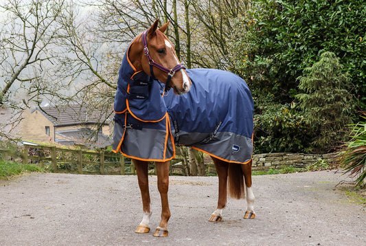 Whitaker Rastrick V2 250g Combo Turnout Rug Navy/Grey