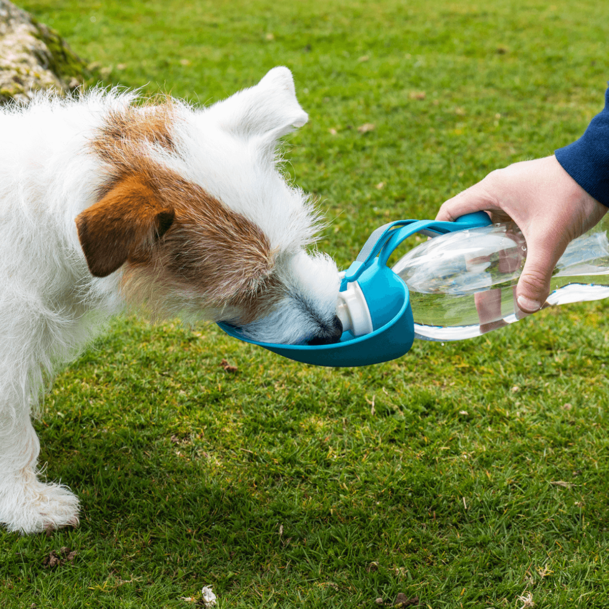 Henry Wag Water Bottle with Leaf Bowl