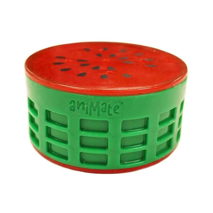 Animate Cooling Fruit Dog Toy - Melon