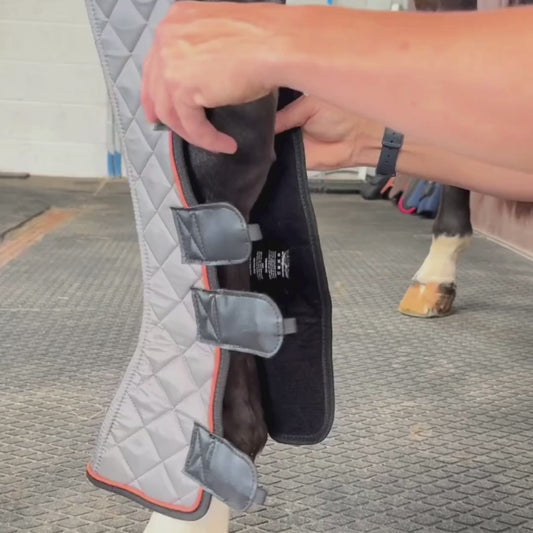 Equilibrium Fore & Knee Magnetic Chaps