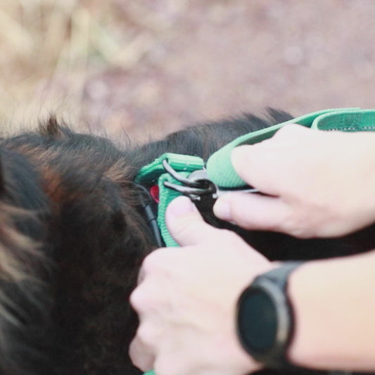 Equilibrium Quick Chill Dog Coat