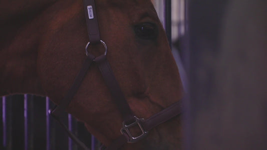 Equilibrium Massage Pad